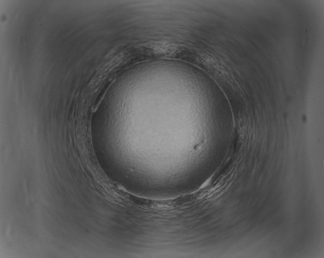 X0000066931249200603311343