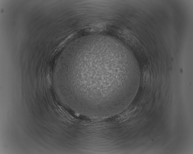 X0000066931250200603311343