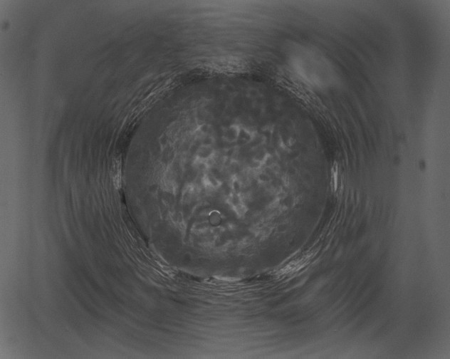 X0000066931251200603311343