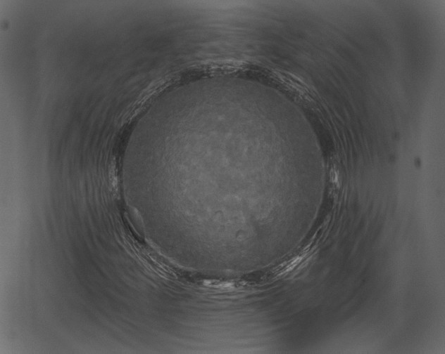 X0000066931252200603311343