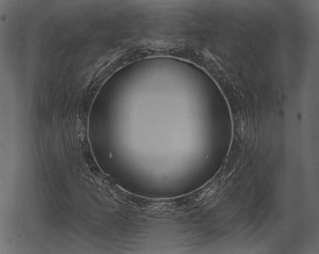 X0000066931253200603311343