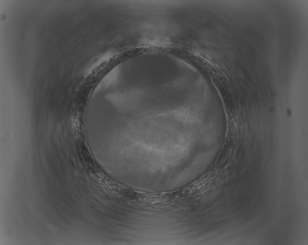 X0000066931254200603311343