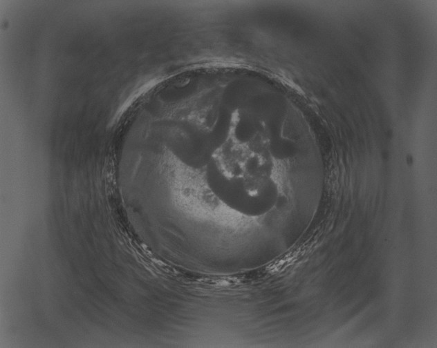 X0000066931255200603311343