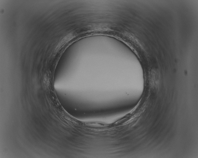 X0000066931257200603311343