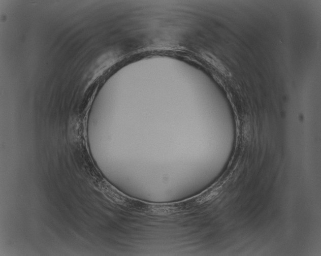 X0000066931258200603311343