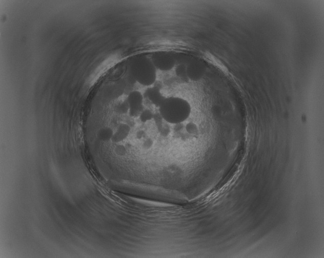 X0000066931259200603311343