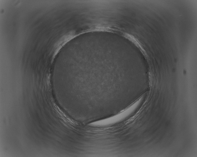 X0000066931260200603311343