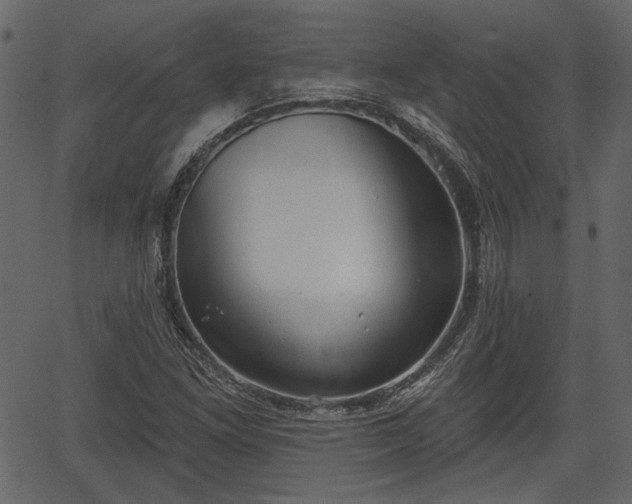 X0000066931261200603311343