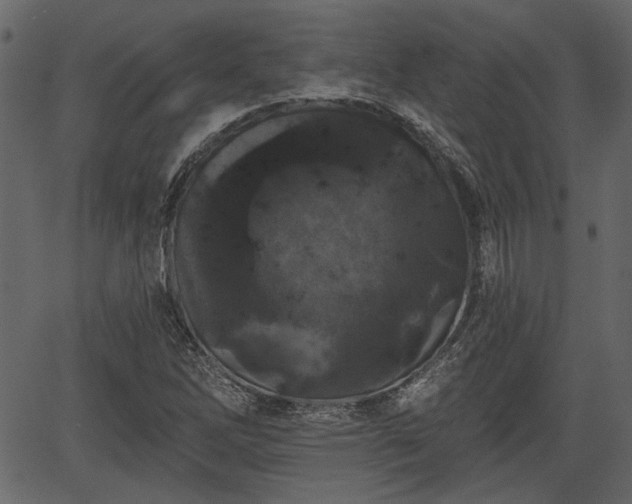 X0000066931262200603311343