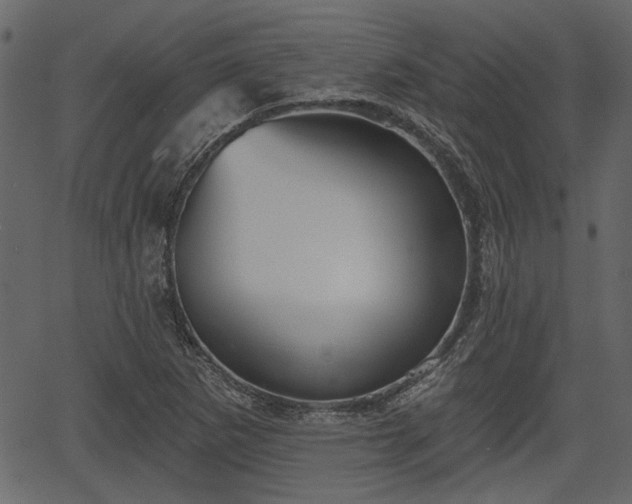 X0000066931265200603311343