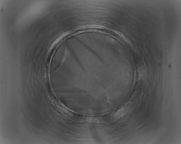 X0000066931266200603311343