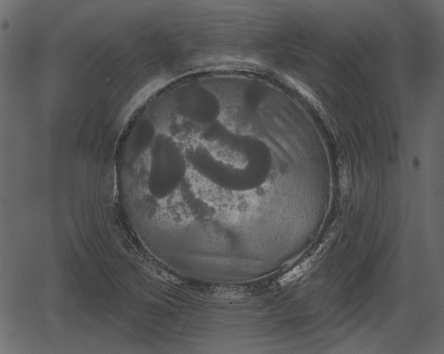 X0000066931267200603311343