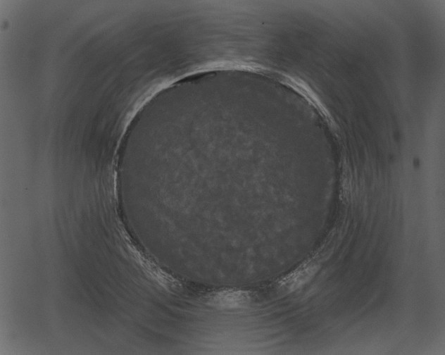 X0000066931268200603311343