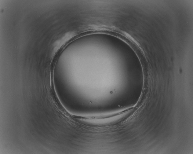 X0000066931269200603311343