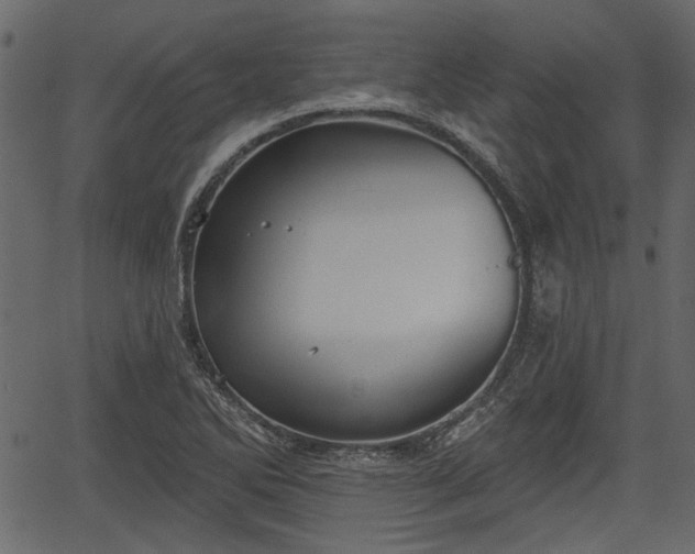 X0000066931270200603311343