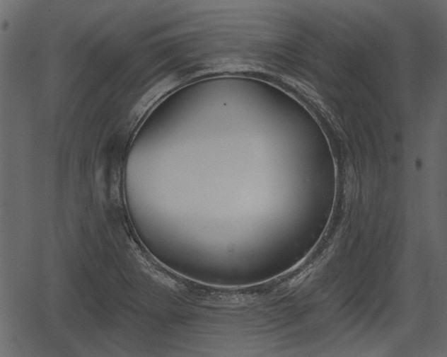 X0000066931273200603311343