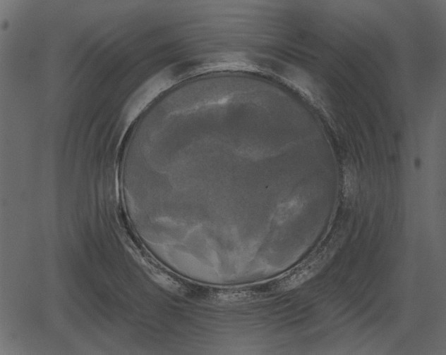 X0000066931274200603311343