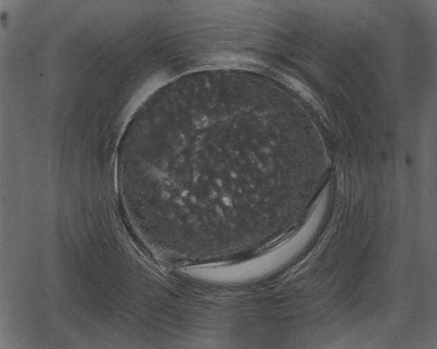 X0000066931275200603311343