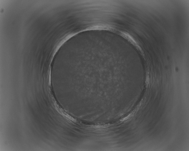 X0000066931276200603311343