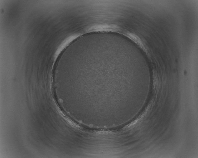 X0000066931277200603311343