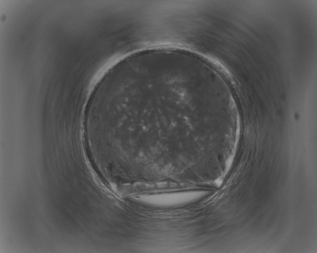 X0000066931279200603311343