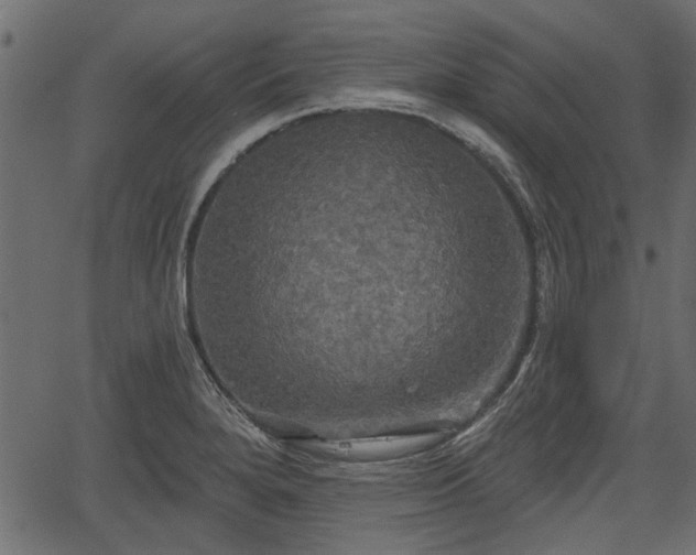 X0000066931280200603311343