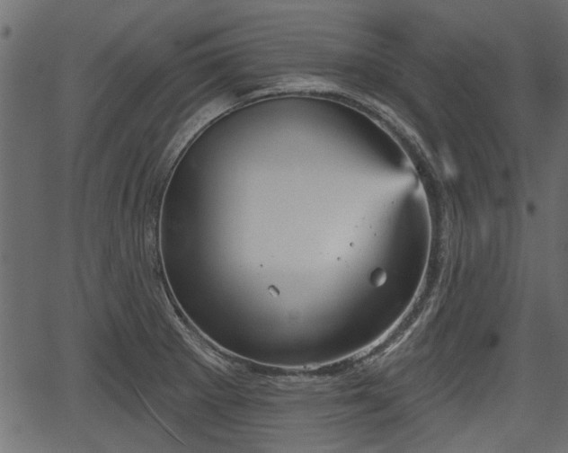 X0000066931281200603311343