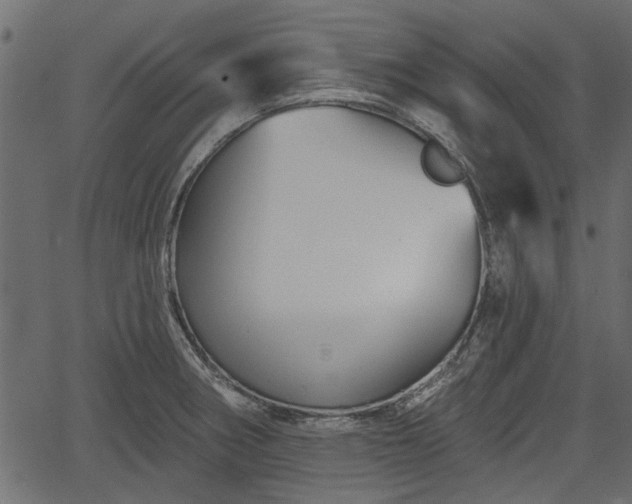 X0000066931282200603311343