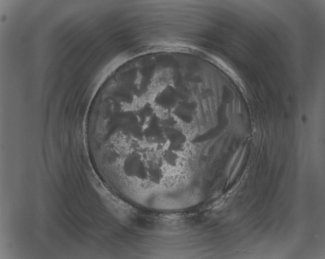 X0000066931283200603311343