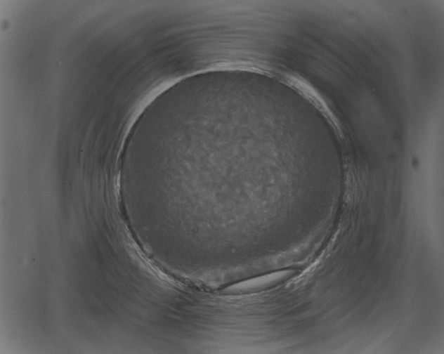 X0000066931284200603311343