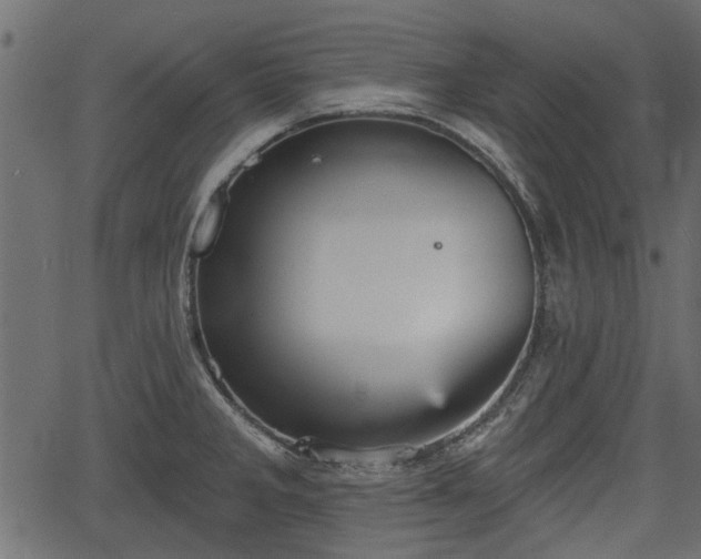 X0000066931285200603311343