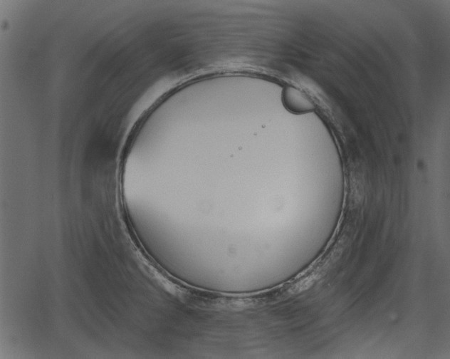 X0000066931286200603311343