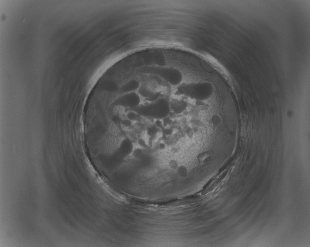 X0000066931287200603311342