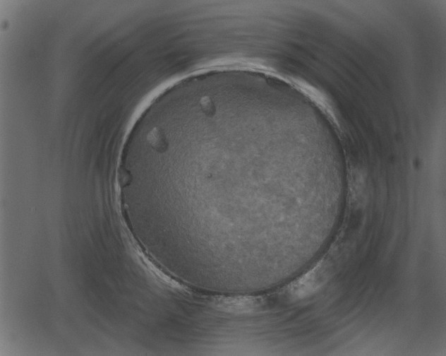 X0000066931288200603311342