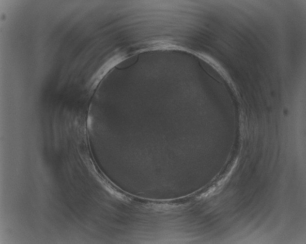 X0000066931289200603311342