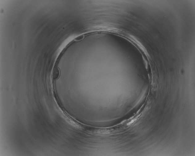 X0000066931291200603311342