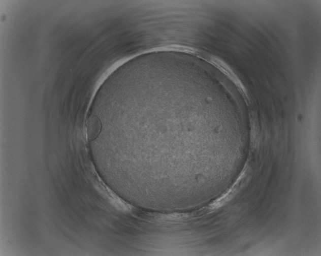 X0000066931292200603311342