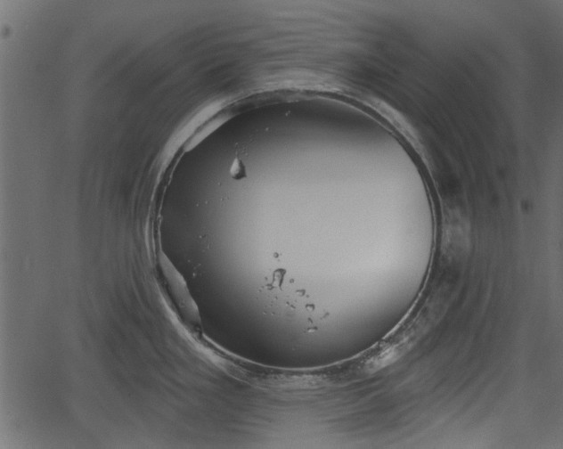 X0000066931293200603311342