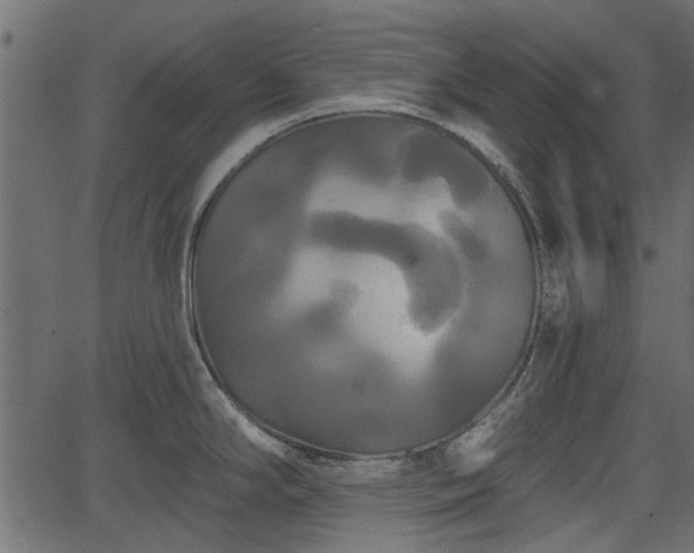 X0000066931294200603311342