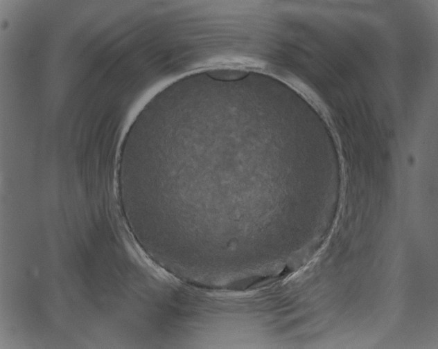 X0000066931296200603311342