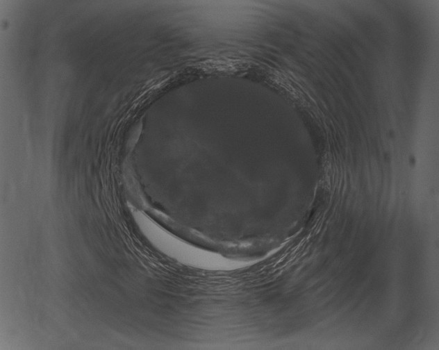 X0000066931297200603311342