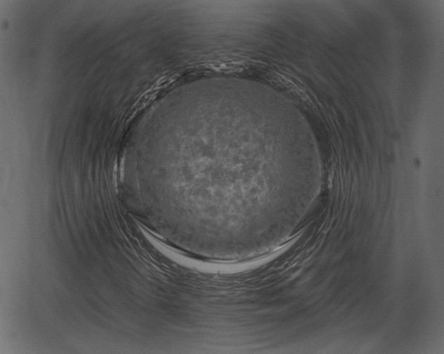 X0000066931298200603311342