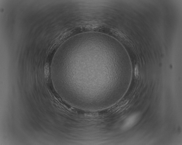 X0000066931299200603311342