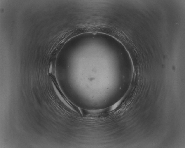 X0000066931300200603311342