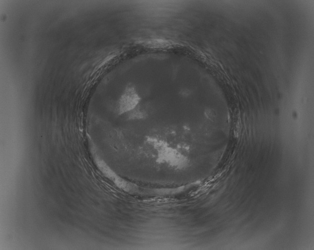 X0000066931301200603311342