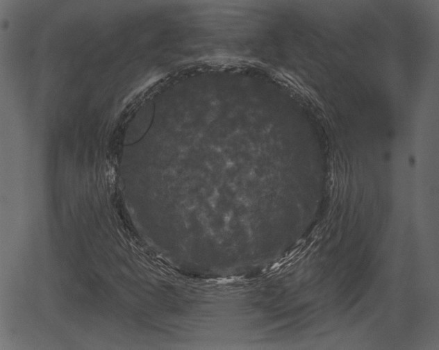 X0000066931302200603311342