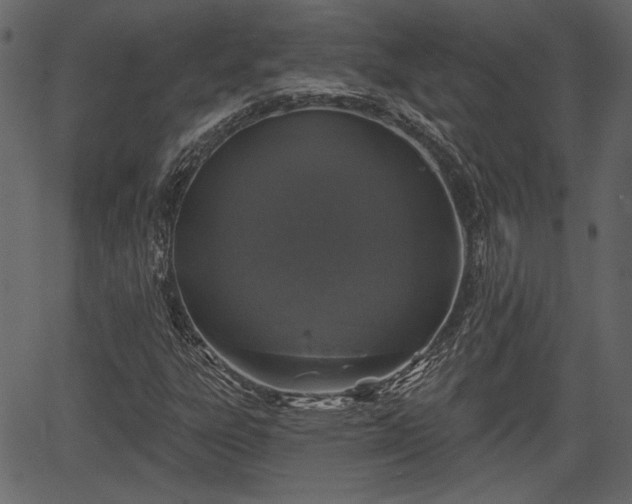 X0000066931303200603311342