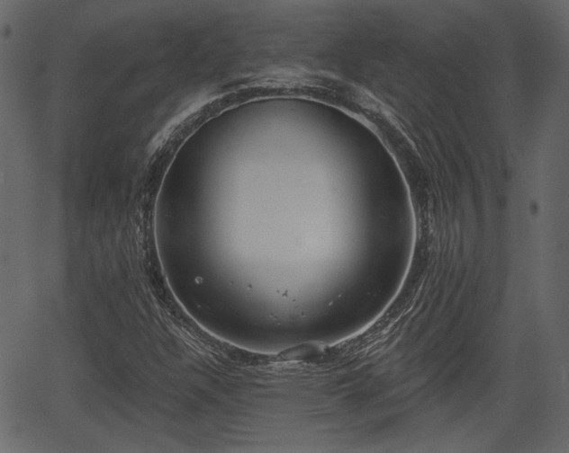 X0000066931304200603311342