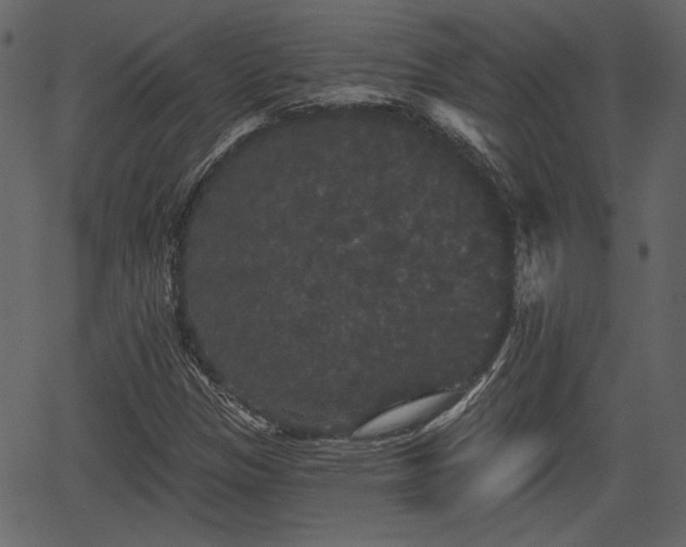 X0000066931305200603311342