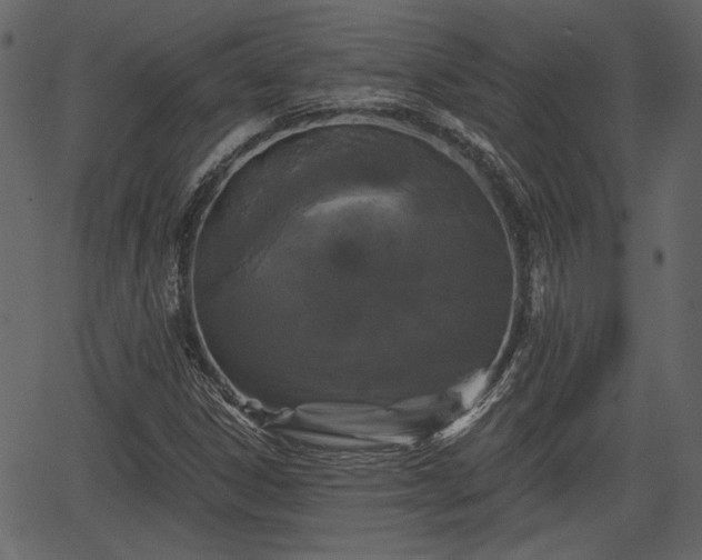 X0000066931306200603311342